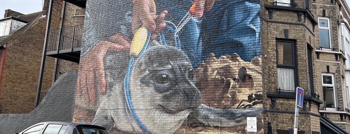 Term 2 News from the Humanities Faculty