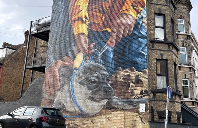 Term 2 News from the Humanities Faculty