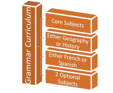 Graphic illustrating the subject selection options for grammar students