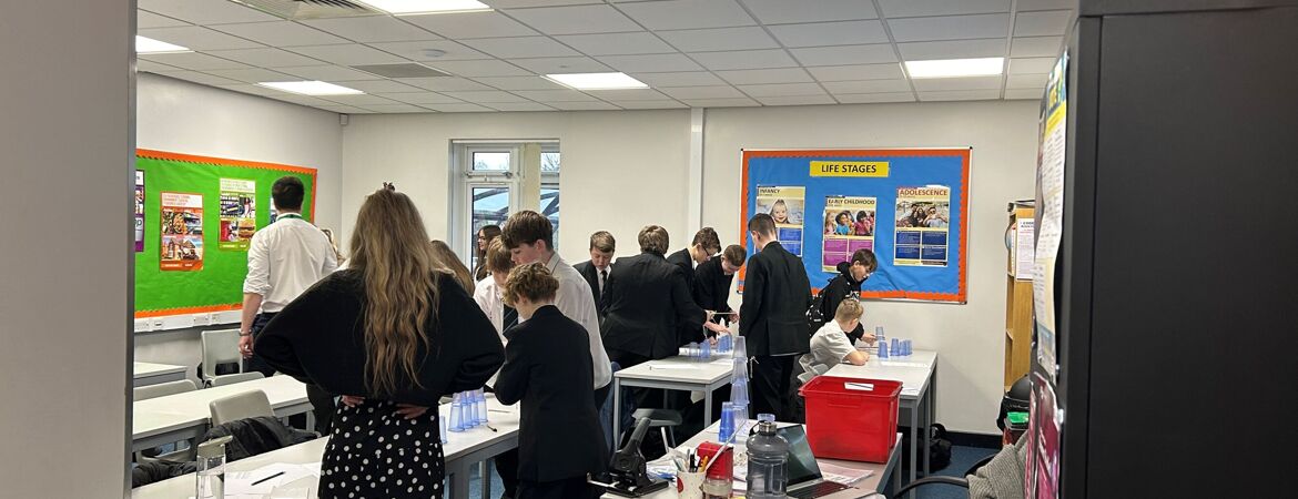 Year 9 Employability Day